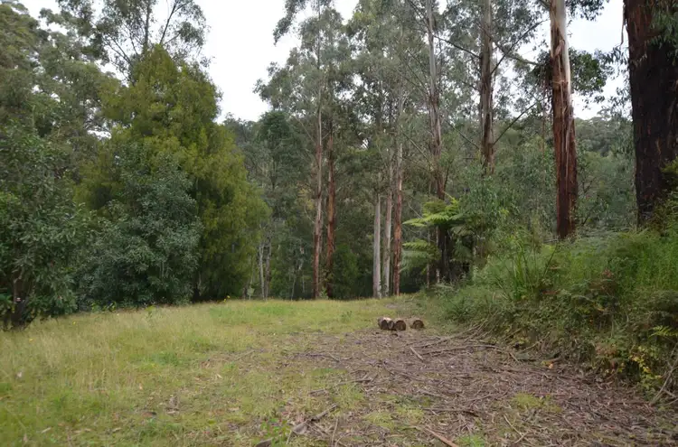 Fifth view of Homely land listing, 23 Mill Road, Tanjil Bren VIC 3833