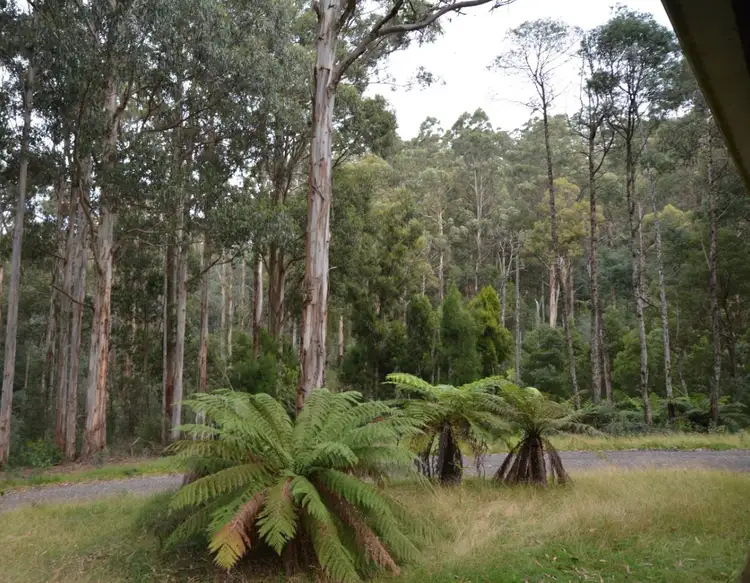 Sixth view of Homely land listing, 23 Mill Road, Tanjil Bren VIC 3833