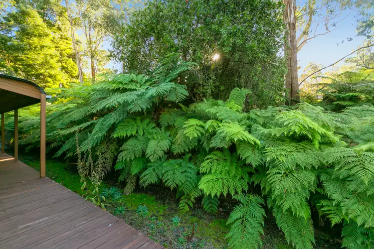 Fourth view of Homely house listing, 535 Little Yarra Road, Gladysdale VIC 3797