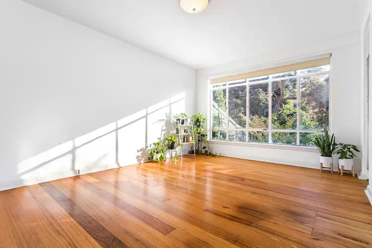 Second view of Homely unit listing, 1/20 Shirley Grove, St Kilda East VIC 3183