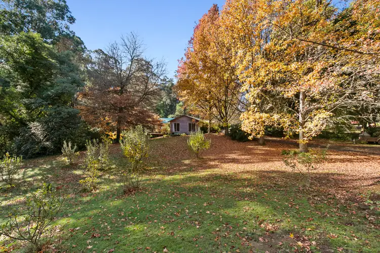Third view of Homely house listing, 35 Beenak Road, Hoddles Creek VIC 3139