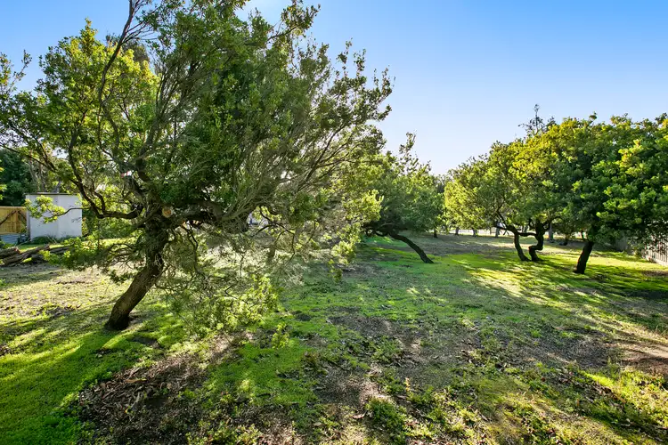 12 Tahiti Court, Rye VIC 3941
