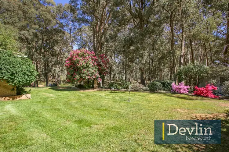 Third view of Homely house listing, 77-97 Pioneer Road, Stanley VIC 3747