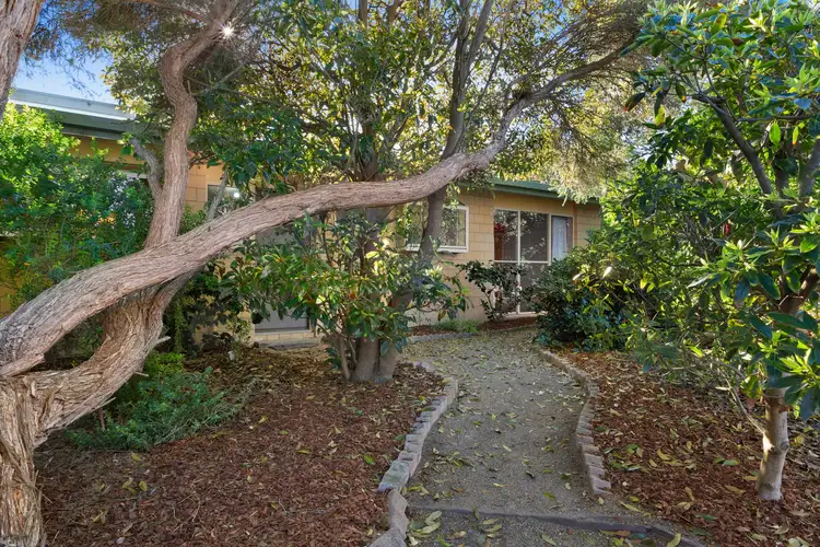 Fifth view of Homely house listing, 12 Somerdale Avenue, Ocean Grove VIC 3226