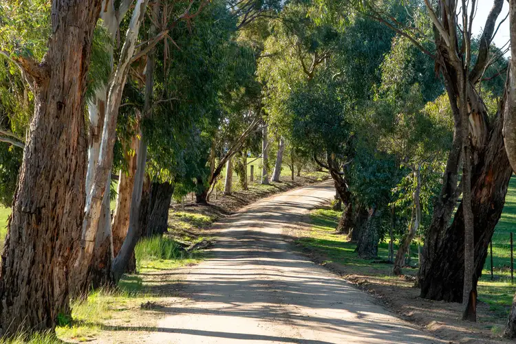 Third view of Homely house listing, 90 Mount Charlie Road, Riddells Creek VIC 3431
