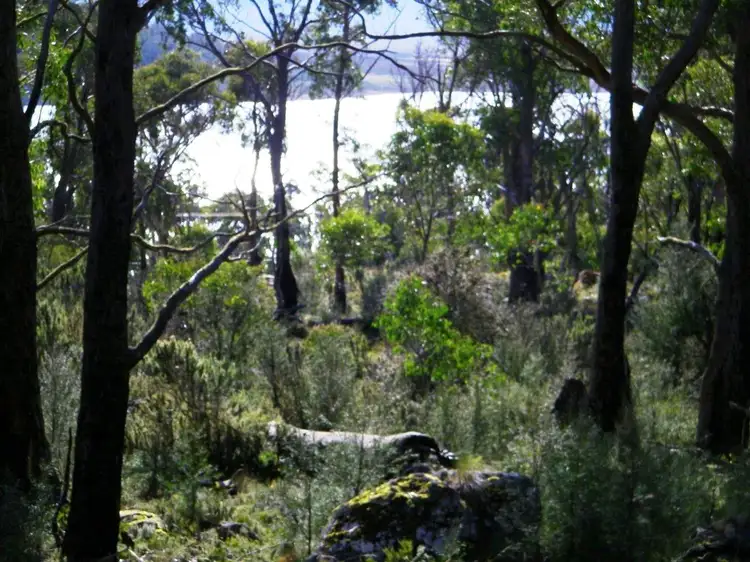 Drysdale Road, Miena TAS 7030