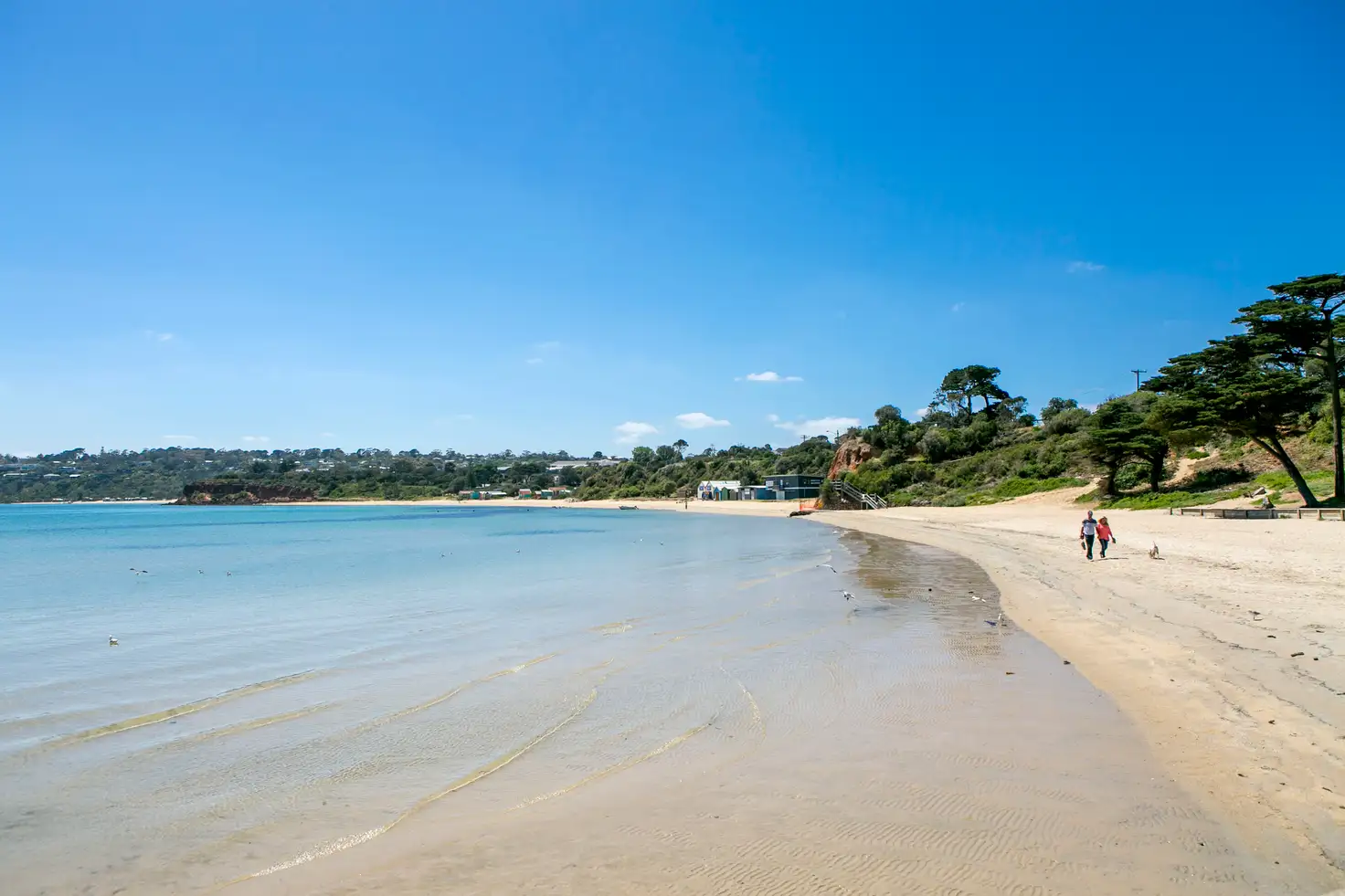 Main view of Homely house listing, 10 Prince Street, Mornington VIC 3931