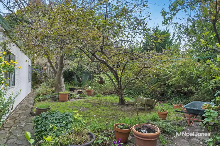 Third view of Homely house listing, 21 Stanley Grove, Blackburn VIC 3130