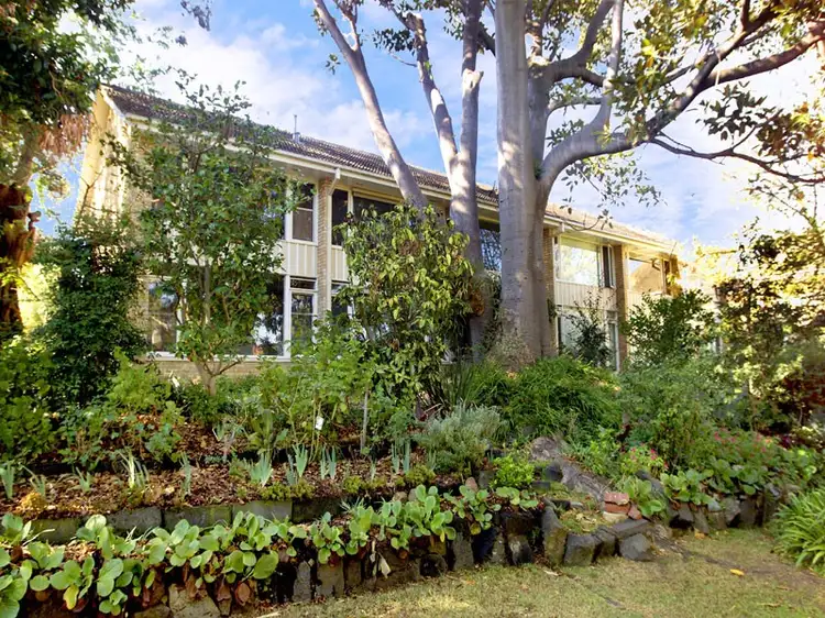 Main view of Homely apartment listing, 4/4-6 Grattan Street, Hawthorn VIC 3122