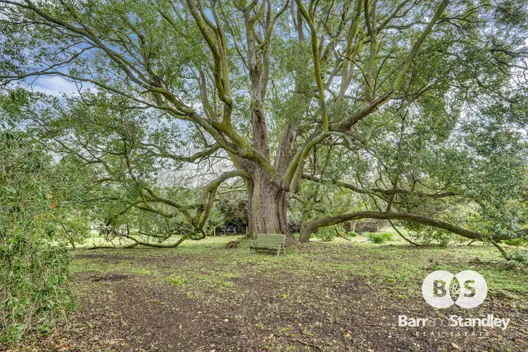 Sixth view of Homely house listing, 16145 South Western Highway, North Boyanup WA 6237