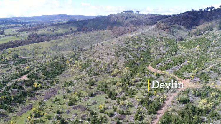 Third view of Homely rural property listing, CA 2/Sec D Diffey Road, Beechworth VIC 3747