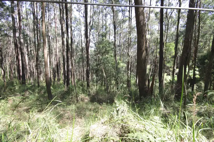 Second view of Homely land listing, LOT41 Beenak East Road, Gembrook VIC 3783