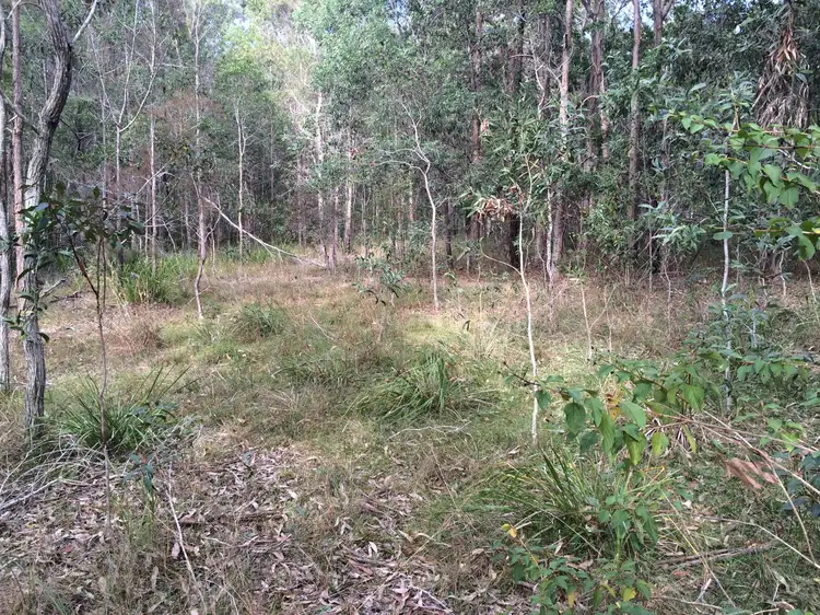 Fifth view of Homely rural property listing, Lot 45 Pacific Highway, New Italy NSW 2472