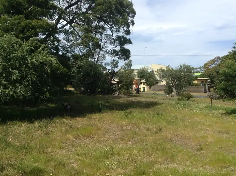 1A Walker Street, Anglesea VIC 3230