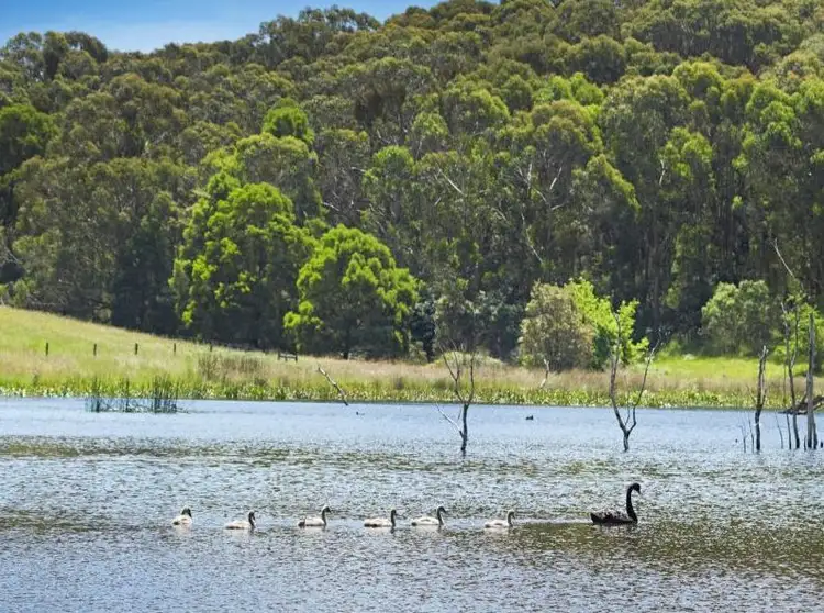 1222 Mornington Flinders Road, Main Ridge VIC 3928