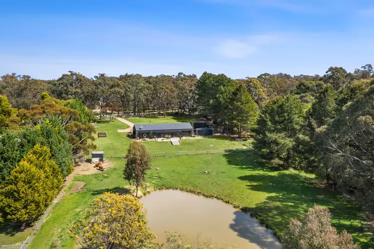 Sixth view of Homely house listing, 65 Woolnoughs Road, Porcupine Ridge VIC 3461