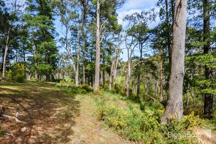 Fourth view of Homely land listing, 1/2 Golden Springs Avenue, Hepburn Springs VIC 3461