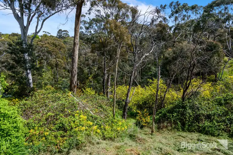 Fifth view of Homely land listing, 1/2 Golden Springs Avenue, Hepburn Springs VIC 3461