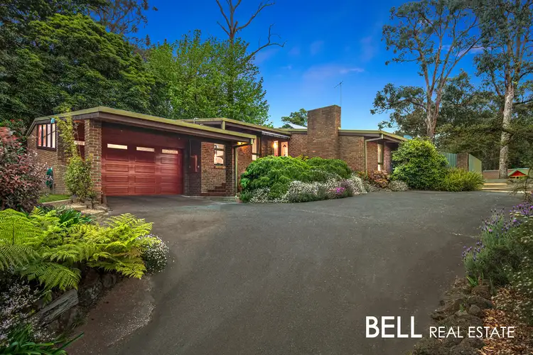 52 Belvedere Drive, Montrose VIC 3765