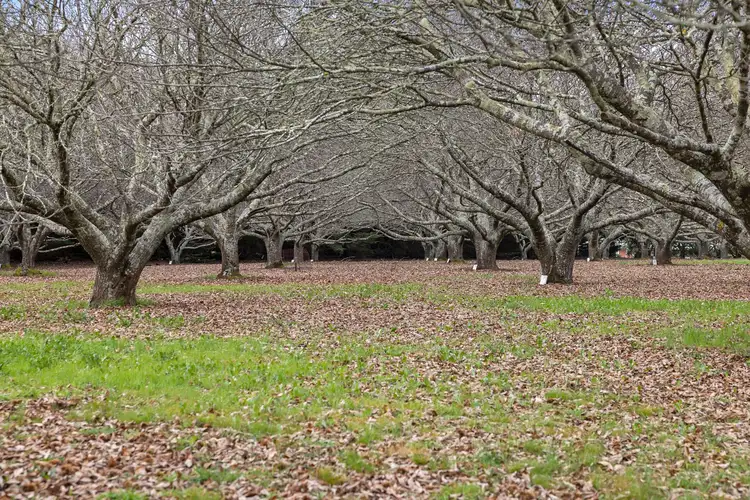 Fourth view of Homely land listing, 23 Collins Road, Glenlyon VIC 3461