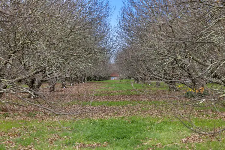 Sixth view of Homely land listing, 23 Collins Road, Glenlyon VIC 3461
