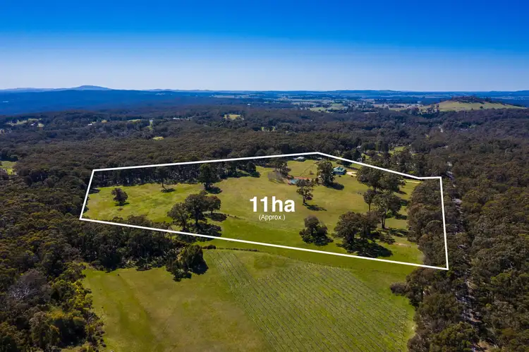 Fourth view of Homely house listing, 1329 Daylesford Malmsbury Road, Denver VIC 3461