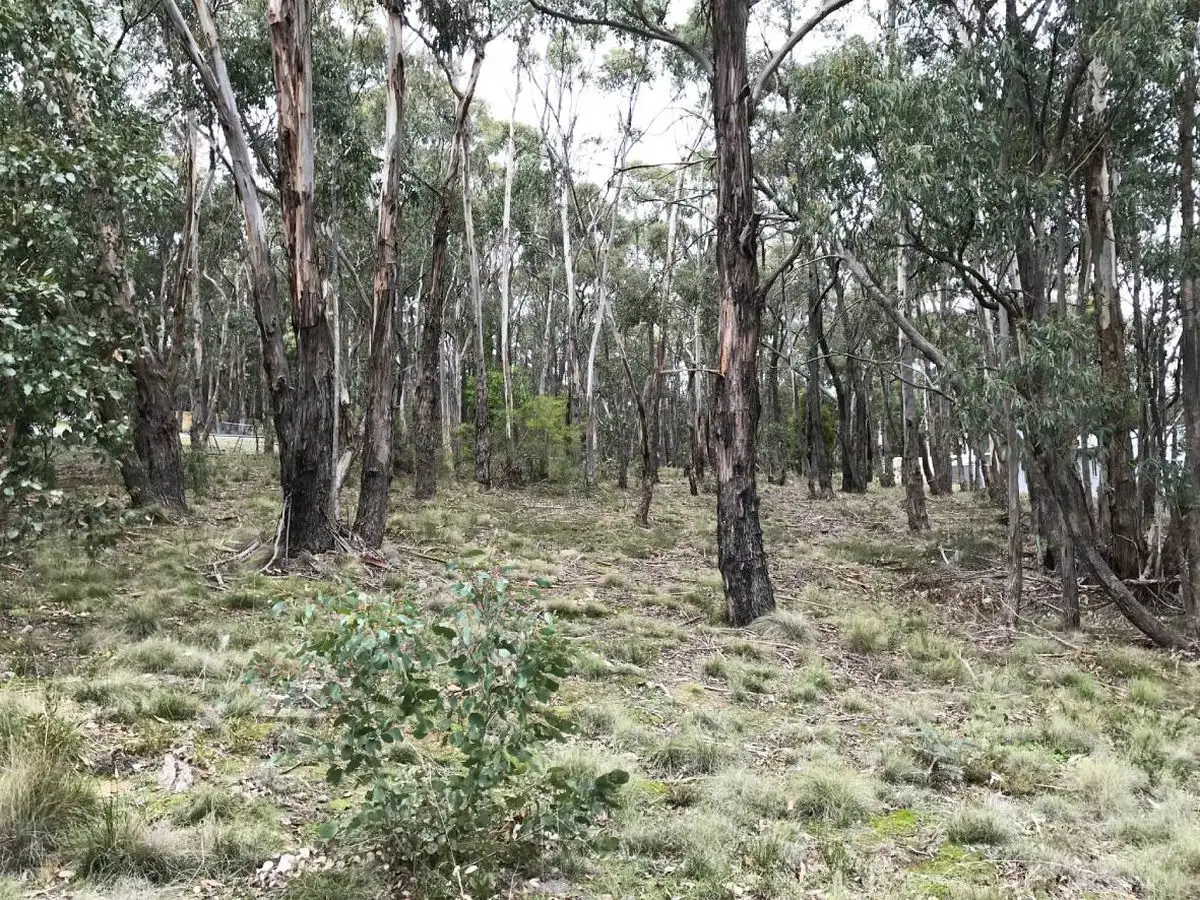 Main view of Homely land listing, 41 Acacia Avenue, Dales Creek VIC 3341