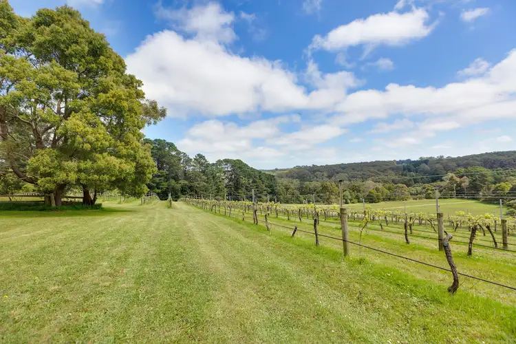 Main view of Homely house listing, 224 Main Creek Road, Main Ridge VIC 3928