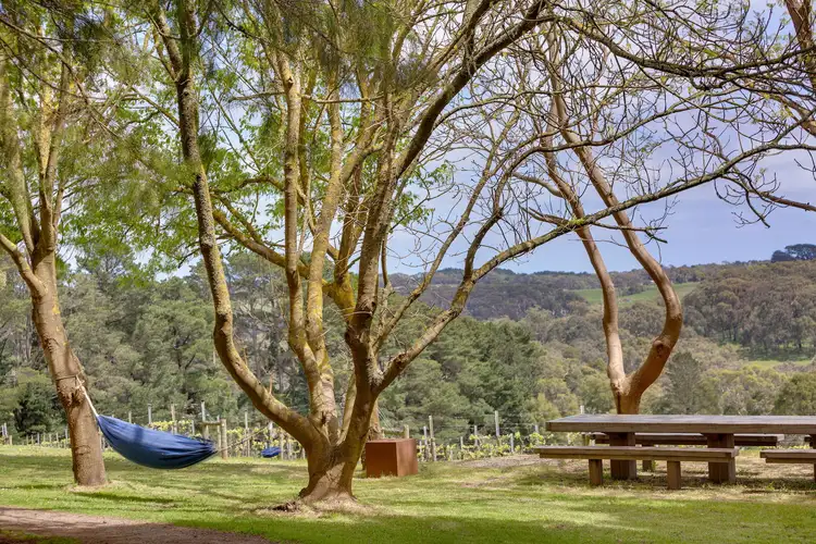 Third view of Homely house listing, 224 Main Creek Road, Main Ridge VIC 3928