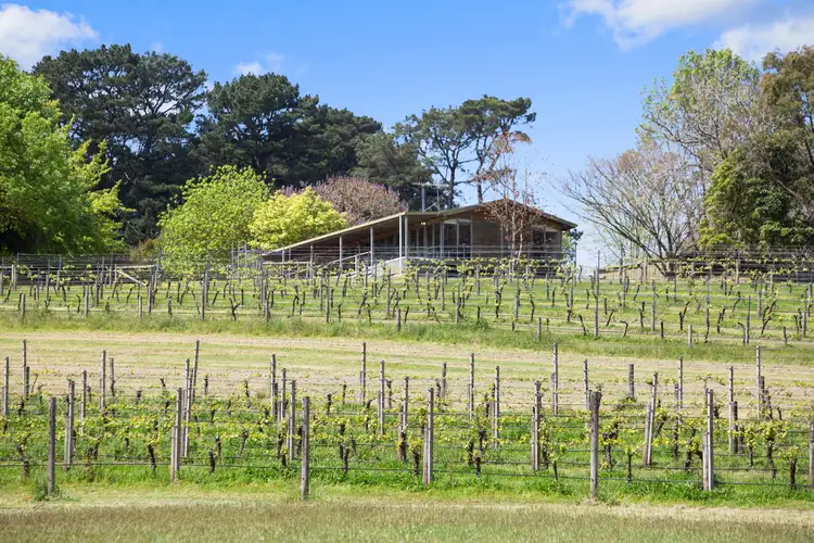 Sixth view of Homely house listing, 224 Main Creek Road, Main Ridge VIC 3928