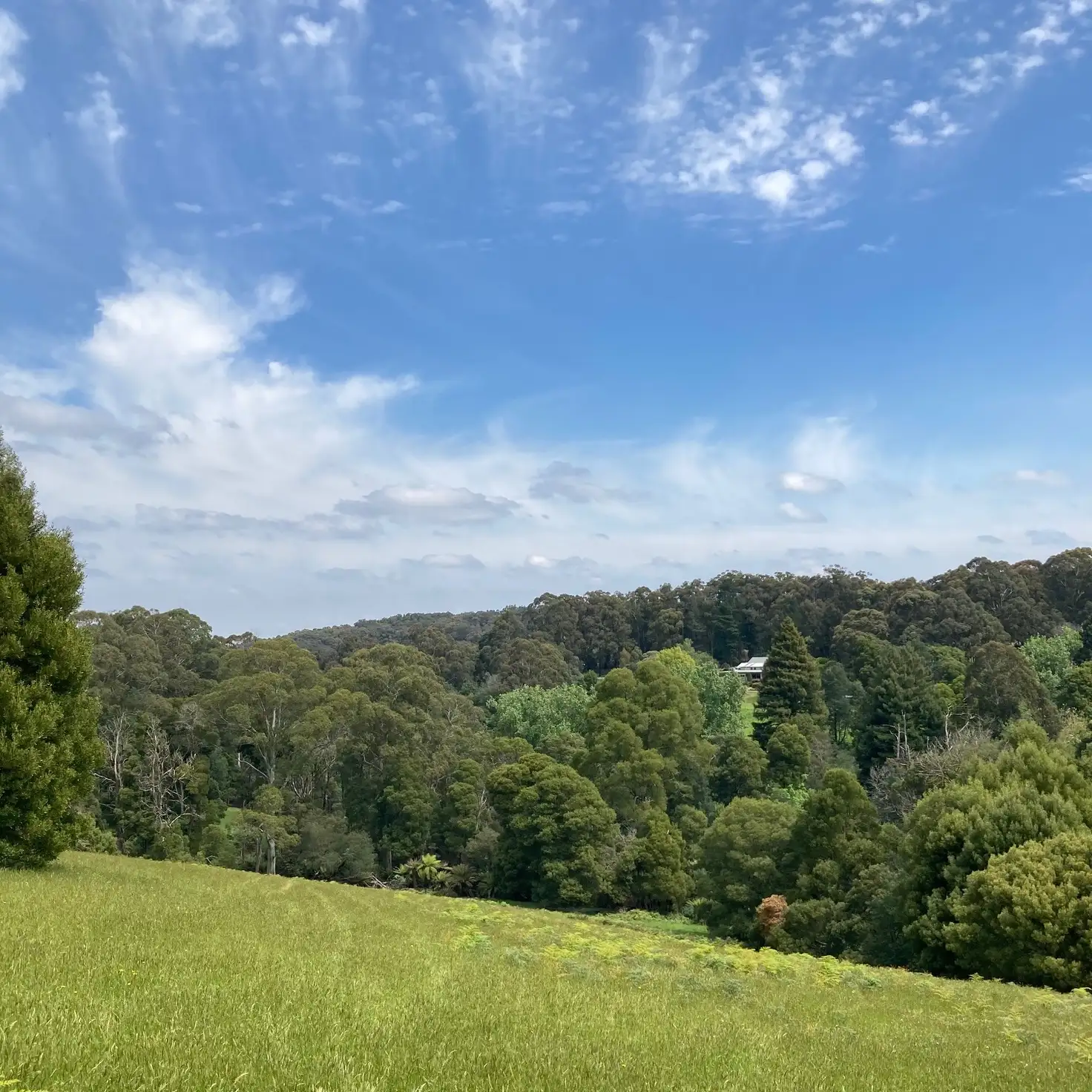 Main view of Homely land listing, 44 Beaconsfield Emerald Road, Emerald VIC 3782