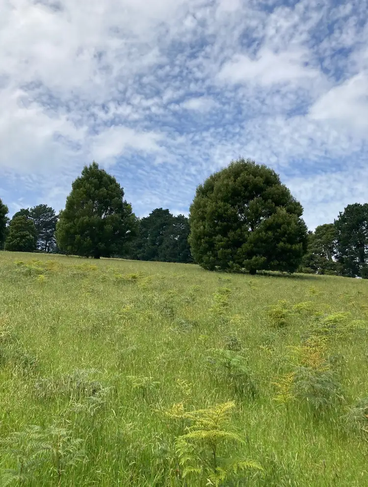 Third view of Homely land listing, 44 Beaconsfield Emerald Road, Emerald VIC 3782