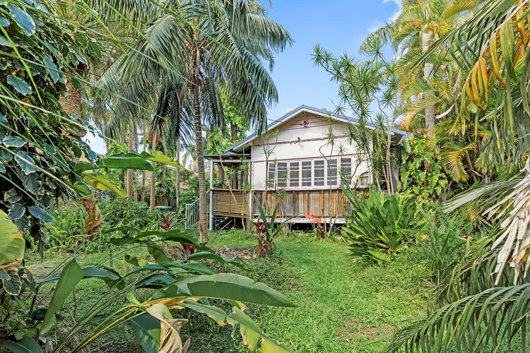 97 Moorindil Street, Tewantin QLD 4565