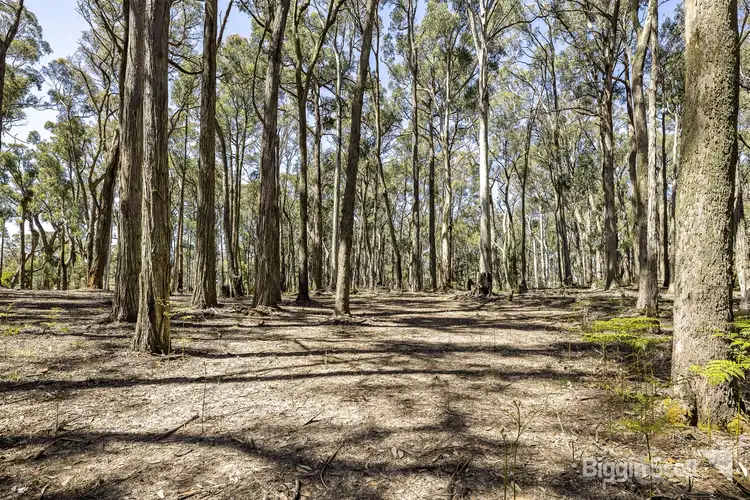 Third view of Homely land listing, 105 Whitegum Drive, Wheatsheaf VIC 3461
