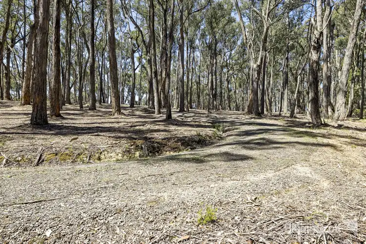 Fourth view of Homely land listing, 105 Whitegum Drive, Wheatsheaf VIC 3461