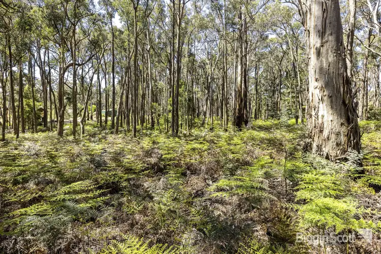 Sixth view of Homely land listing, 105 Whitegum Drive, Wheatsheaf VIC 3461