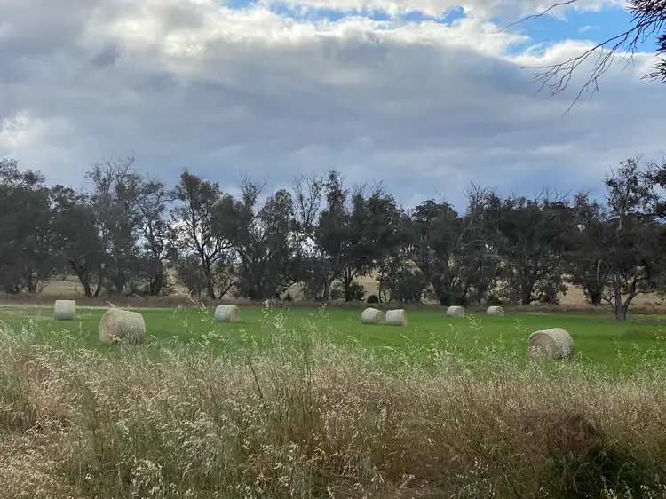 Third view of Homely rural property listing, Lot/301 Jayes Road, Mayanup WA 6244