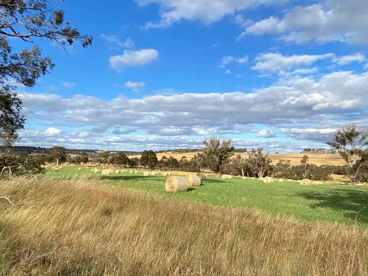 Fifth view of Homely rural property listing, Lot/301 Jayes Road, Mayanup WA 6244