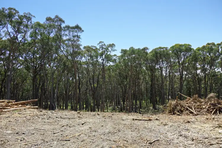 Fifth view of Homely land listing, 234 Lake Road, Daylesford VIC 3460