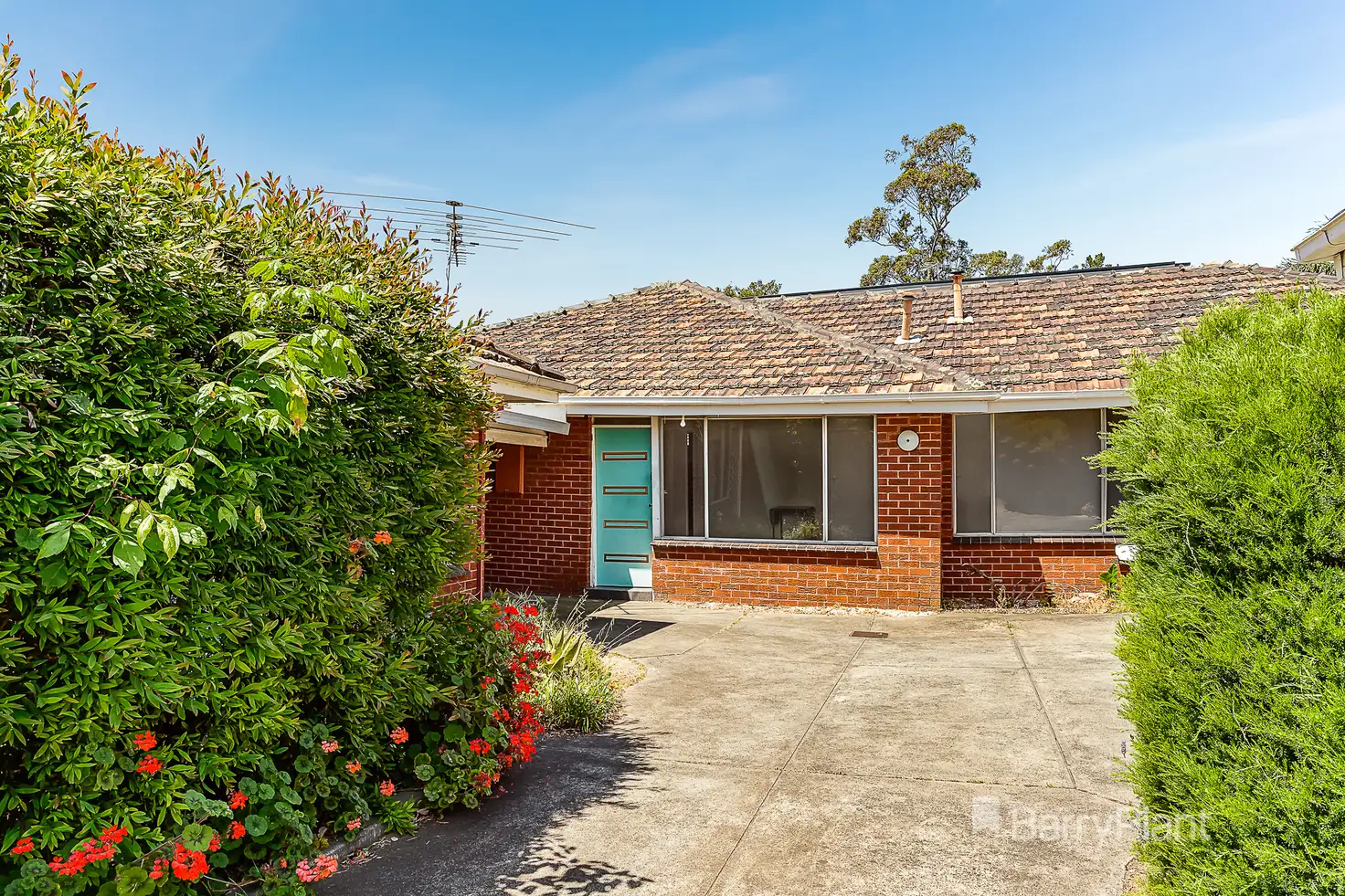 Main view of Homely unit listing, 5/28 Tulip Grove, Cheltenham VIC 3192