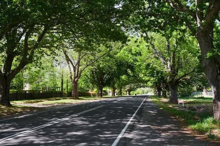 Fourth view of Homely rural property listing, 49 Dysart Street, Glenlyon VIC 3461