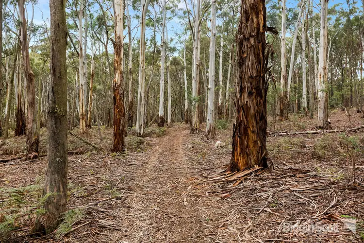 Fourth view of Homely land listing, 160 Lake Road, Daylesford VIC 3460