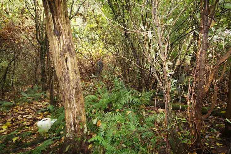 Fifth view of Homely land listing, Lot/1 Currawong Drive, Gembrook VIC 3783