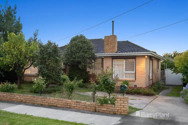 24 Majtlis Street, Blackburn North VIC 3130