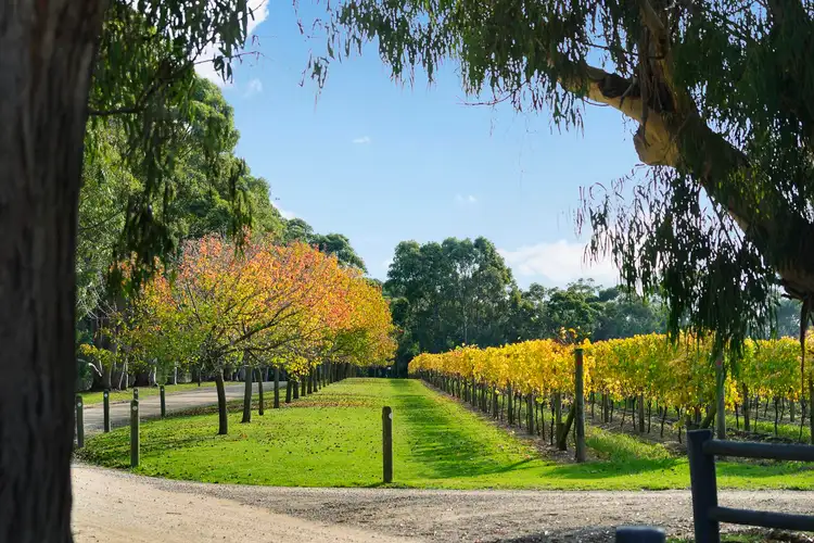 Fifth view of Homely land listing, 66 Clarendon Street, Dromana VIC 3936