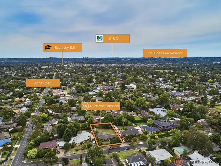 Fourth view of Homely house listing, 43 Norma Crescent, Knoxfield VIC 3180
