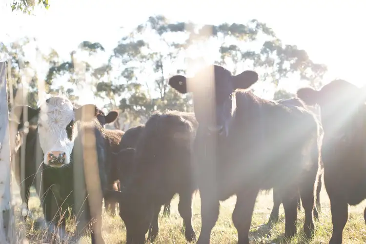 Seventh view of Homely land listing, Lot 3 CA7 of 23 (LOT 19)/764 Daylesford Malmsbury Road, Glenlyon VIC 3461