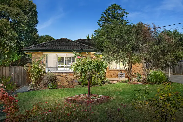 Main view of Homely house listing, 19 Macey Street, Croydon South VIC 3136