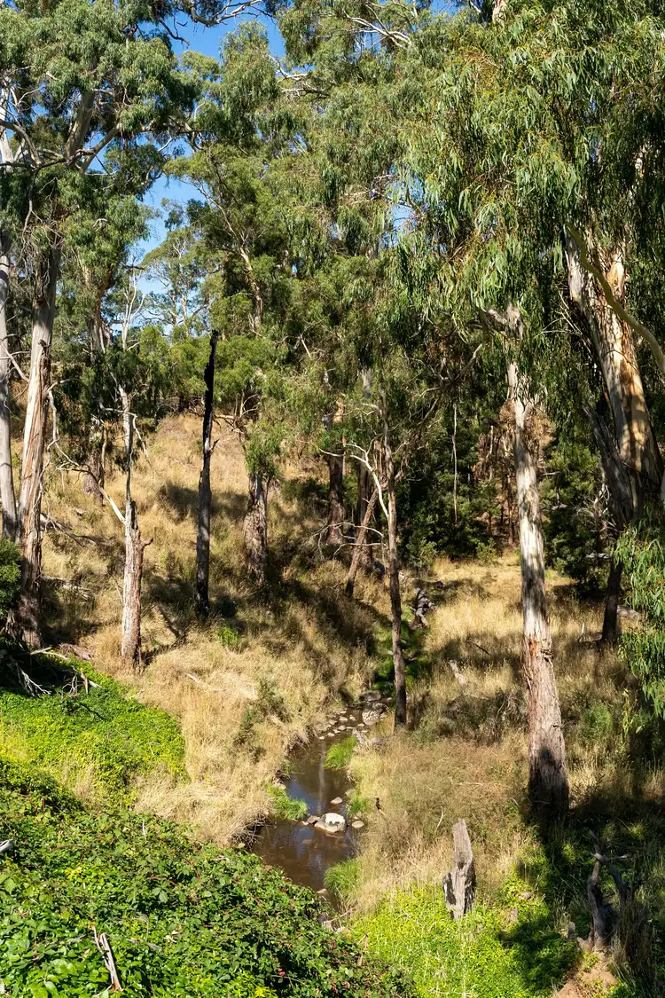 Third view of Homely land listing, 42 Barkly Street, Glenlyon VIC 3461