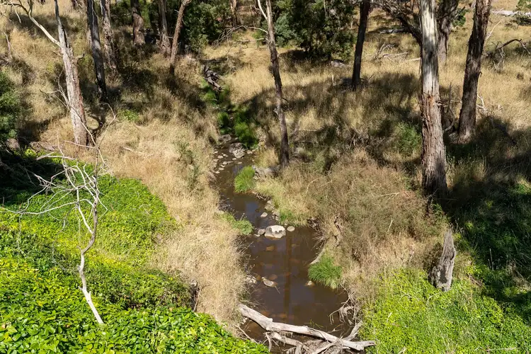 Fourth view of Homely land listing, 42 Barkly Street, Glenlyon VIC 3461